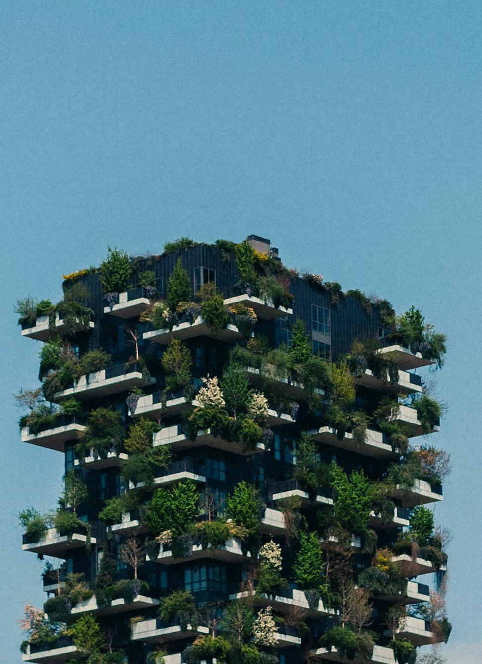 Net-Zero Feasibility Study